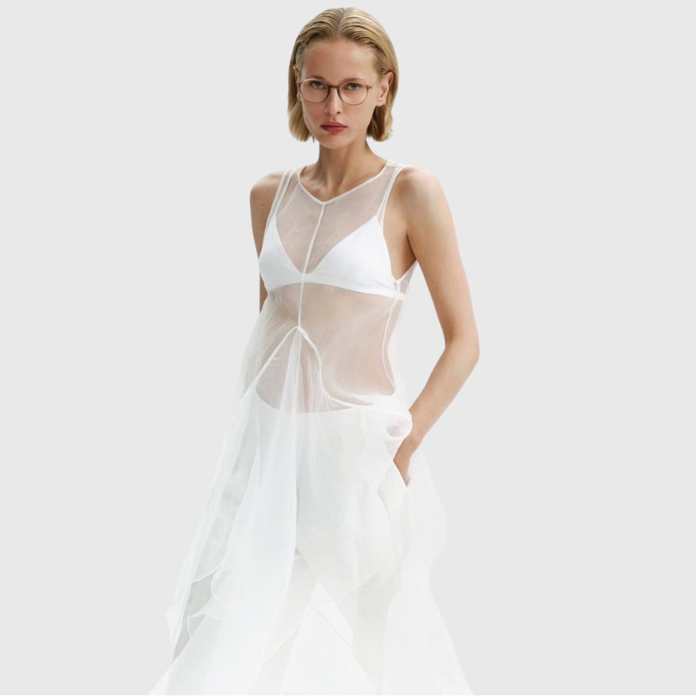 NWT Zara ZW Collection Sheer Organza Midi Dress